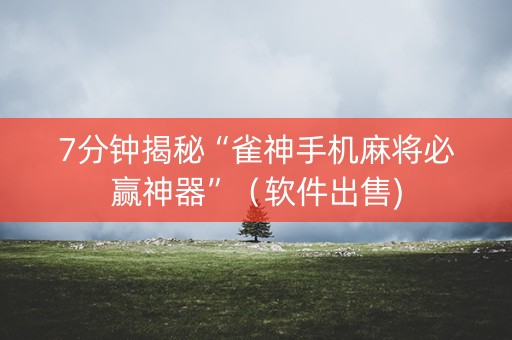 7分钟揭秘“雀神手机麻将必赢神器”（软件出售)