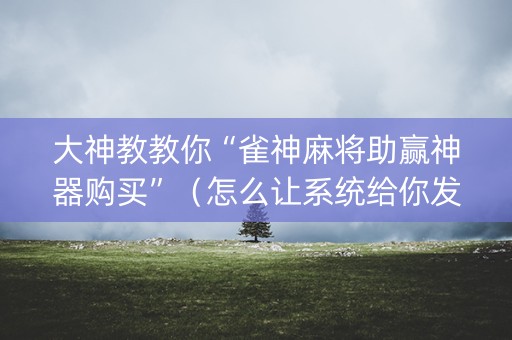 大神教教你“雀神麻将助赢神器购买”（怎么让系统给你发好牌)