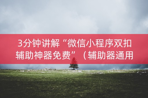 3分钟讲解“微信小程序双扣辅助神器免费”（辅助器通用版)