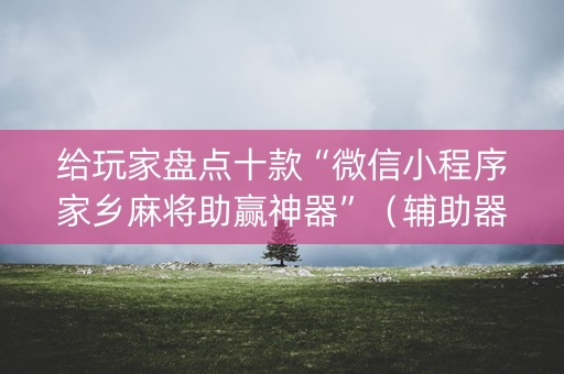 给玩家盘点十款“微信小程序家乡麻将助赢神器”（辅助器插件)
