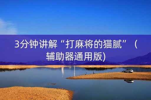 3分钟讲解“打麻将的猫腻”（辅助器通用版)