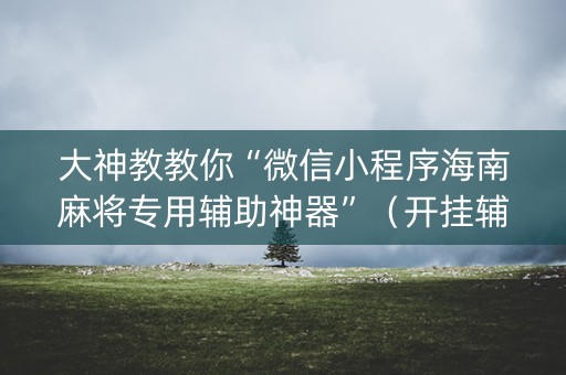 大神教教你“微信小程序海南麻将专用辅助神器”（开挂辅助器插件)