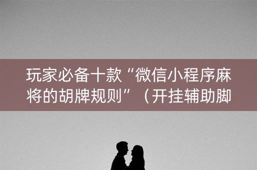 玩家必备十款“微信小程序麻将的胡牌规则”（开挂辅助脚本)