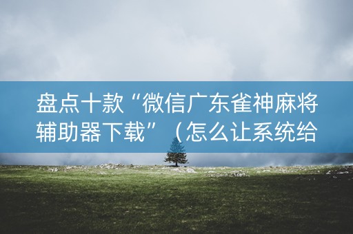 盘点十款“微信广东雀神麻将辅助器下载”（怎么让系统给你发好牌)
