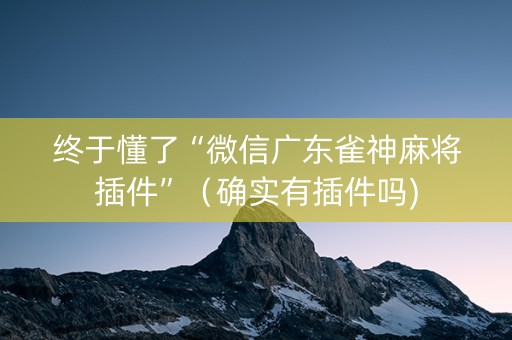 终于懂了“微信广东雀神麻将插件”（确实有插件吗)
