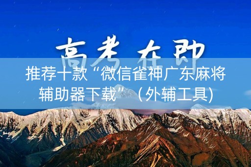 推荐十款“微信雀神广东麻将辅助器下载”（外辅工具)