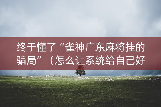 终于懂了“雀神广东麻将挂的骗局”（怎么让系统给自己好牌)