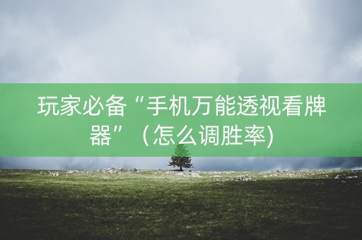 玩家必备“手机万能透视看牌器”（怎么调胜率)