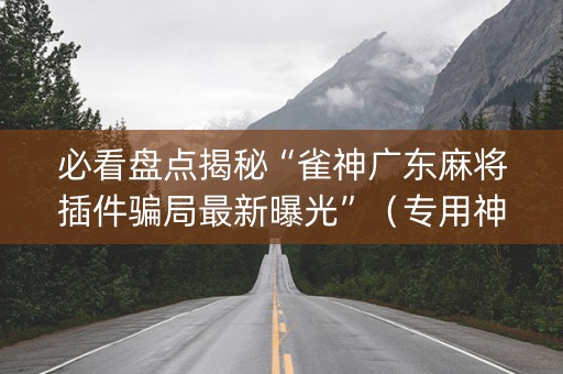 必看盘点揭秘“雀神广东麻将插件骗局最新曝光”（专用神器下载)