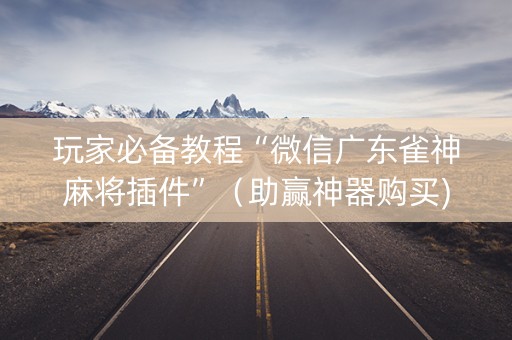 玩家必备教程“微信广东雀神麻将插件”（助赢神器购买)
