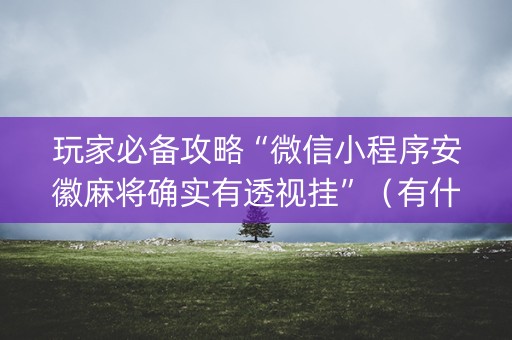 玩家必备攻略“微信小程序安徽麻将确实有透视挂”（有什么诀窍)
