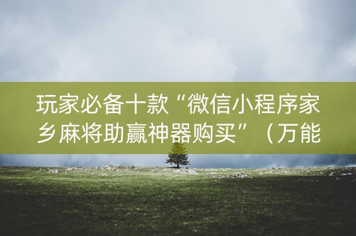 玩家必备十款“微信小程序家乡麻将助赢神器购买”（万能开挂神器)