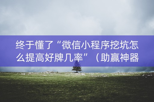 终于懂了“微信小程序挖坑怎么提高好牌几率”（助赢神器购买)