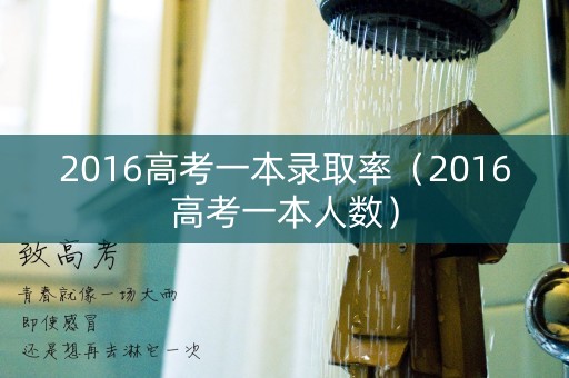 2016高考一本录取率（2016高考一本人数）