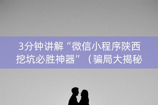3分钟讲解“微信小程序陕西挖坑必胜神器”（骗局大揭秘)