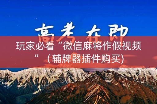 玩家必看“微信麻将作假视频”（辅牌器插件购买)