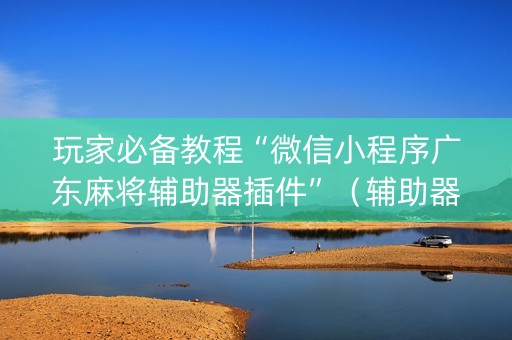 玩家必备教程“微信小程序广东麻将辅助器插件”（辅助器通用版)