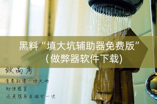 黑料“填大坑辅助器免费版”（做弊器软件下载)