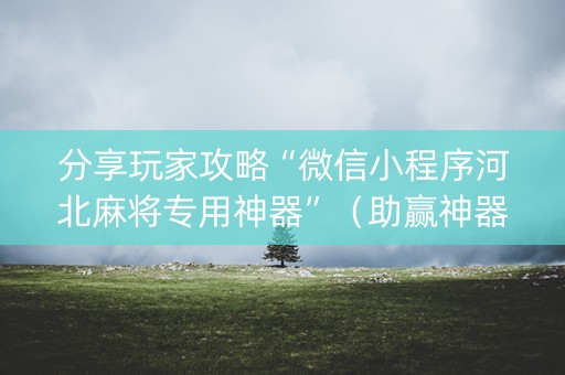 分享玩家攻略“微信小程序河北麻将专用神器”（助赢神器购买)