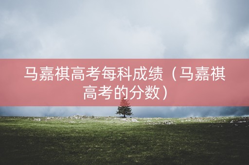 马嘉祺高考每科成绩（马嘉祺高考的分数）