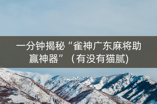一分钟揭秘“雀神广东麻将助赢神器”（有没有猫腻)