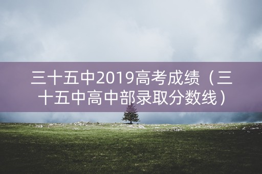 三十五中2019高考成绩（三十五中高中部录取分数线）