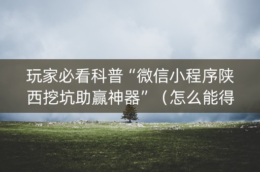 玩家必看科普“微信小程序陕西挖坑助赢神器”（怎么能得到好牌)