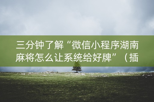 三分钟了解“微信小程序湖南麻将怎么让系统给好牌”（插件开挂免费AI)