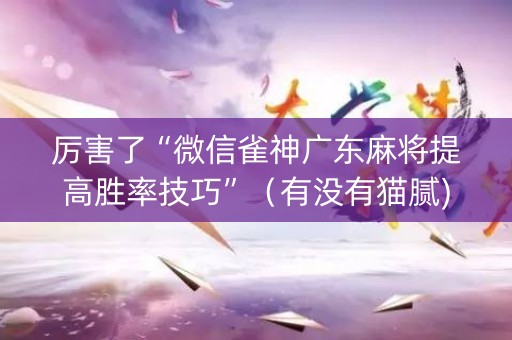 厉害了“微信雀神广东麻将提高胜率技巧”（有没有猫腻)
