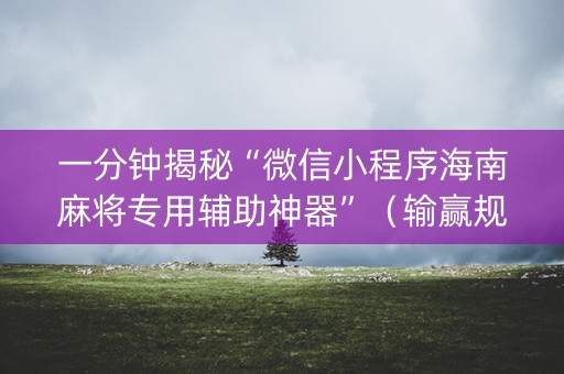 一分钟揭秘“微信小程序海南麻将专用辅助神器”（输赢规律)