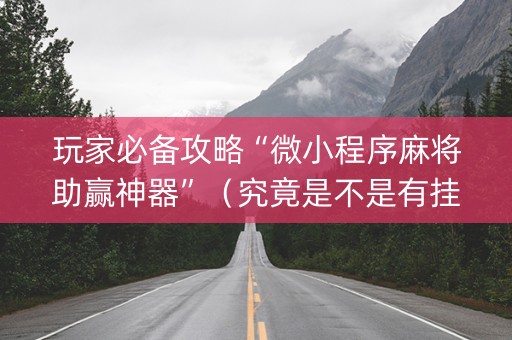 玩家必备攻略“微小程序麻将助赢神器”（究竟是不是有挂)
