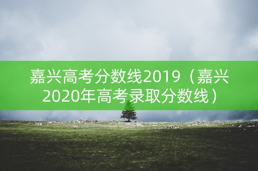 嘉兴高考分数线2019（嘉兴2020年高考录取分数线）