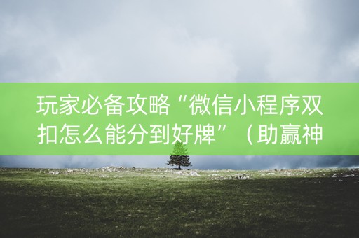玩家必备攻略“微信小程序双扣怎么能分到好牌”（助赢神器)
