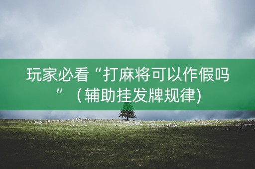 玩家必看“打麻将可以作假吗”（辅助挂发牌规律)
