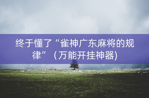 终于懂了“雀神广东麻将的规律”（万能开挂神器)