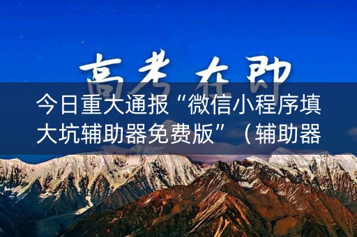 今日重大通报“微信小程序填大坑辅助器免费版”（辅助器插件)