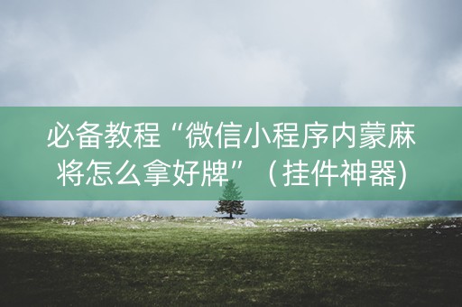 必备教程“微信小程序内蒙麻将怎么拿好牌”（挂件神器)