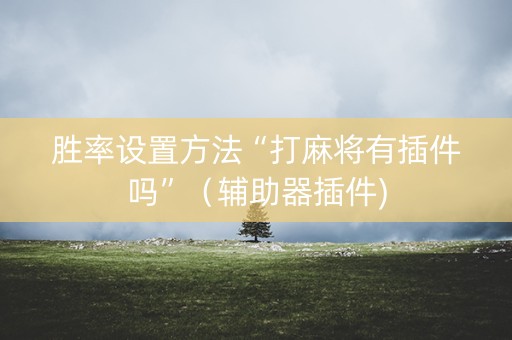 胜率设置方法“打麻将有插件吗”（辅助器插件)