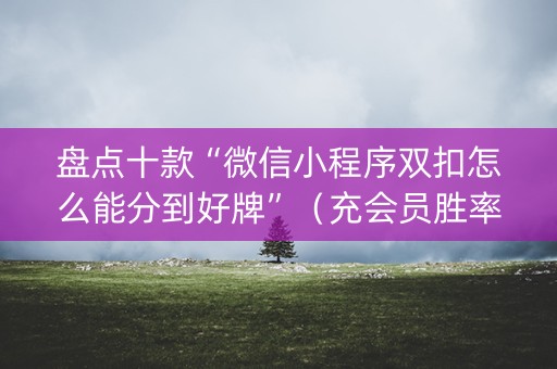 盘点十款“微信小程序双扣怎么能分到好牌”（充会员胜率高)