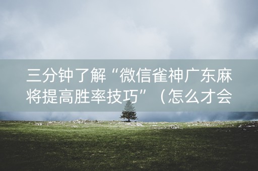 三分钟了解“微信雀神广东麻将提高胜率技巧”（怎么才会赢)