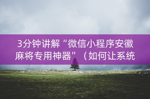 3分钟讲解“微信小程序安徽麻将专用神器”（如何让系统发好牌)