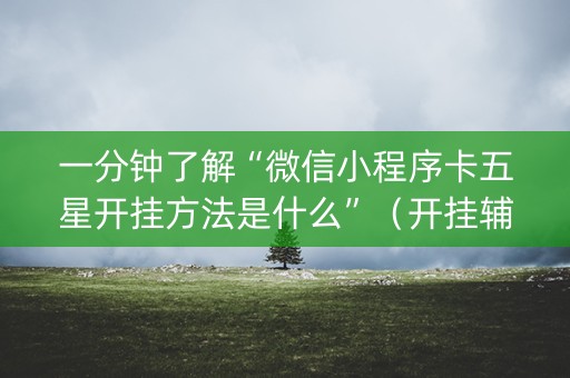 一分钟了解“微信小程序卡五星开挂方法是什么”（开挂辅助器脚本)