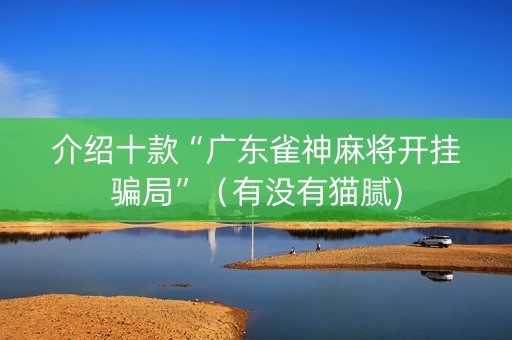 介绍十款“广东雀神麻将开挂骗局”（有没有猫腻)