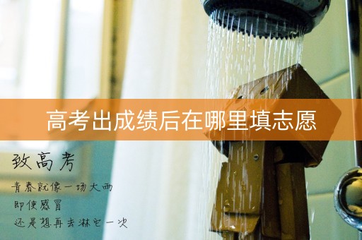高考出成绩后在哪里填志愿