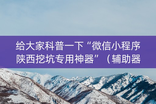 给大家科普一下“微信小程序陕西挖坑专用神器”（辅助器插件)
