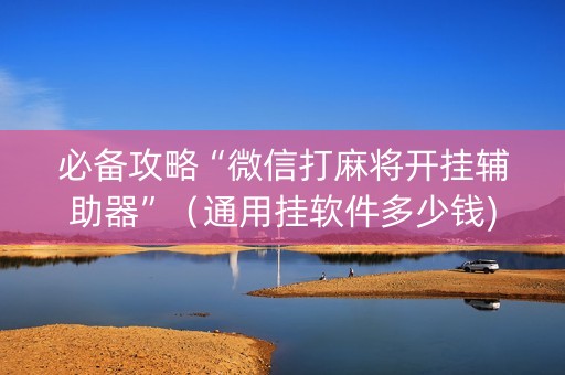 必备攻略“微信打麻将开挂辅助器”（通用挂软件多少钱)