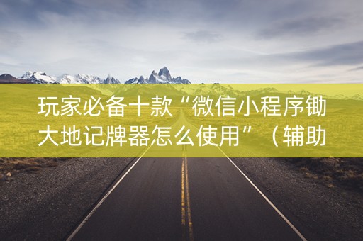玩家必备十款“微信小程序锄大地记牌器怎么使用”（辅助器插件)