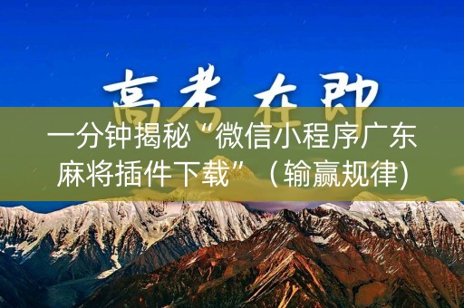 一分钟揭秘“微信小程序广东麻将插件下载”（输赢规律)