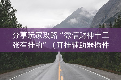 分享玩家攻略“微信财神十三张有挂的”（开挂辅助器插件)