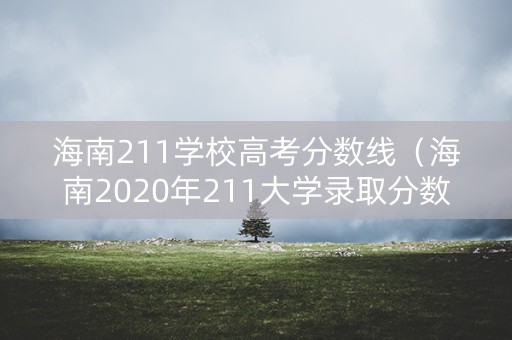 海南211学校高考分数线（海南2020年211大学录取分数线）
